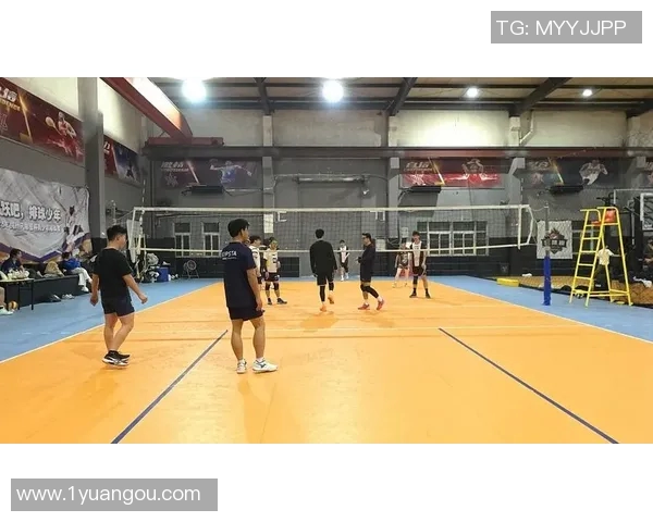 杭州排球队整体表现分析：压制对手与自身失误的双重影响