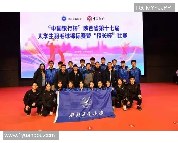 武汉羽毛球队实力深度解析与各队对比分析