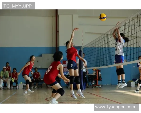 深圳排球队在全国排球比赛经验排行榜中荣获第七名的荣耀时刻