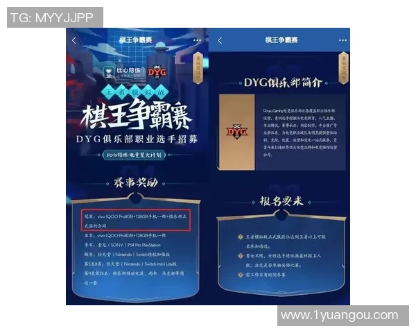王者荣耀深度解析：探讨WE战队的团队协作与战术配合之道