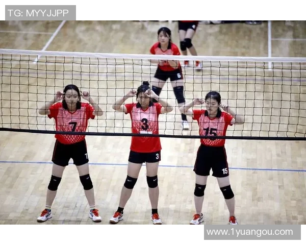 西安排球队状态全面对比分析及未来走势预测