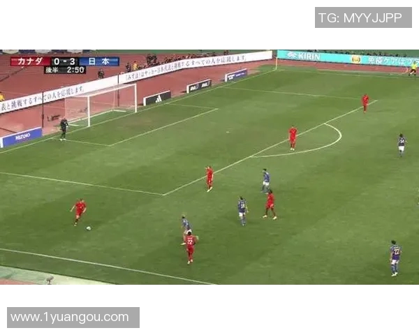 加拿大与日本排球对决精彩回顾与战术分析