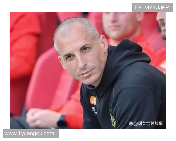 奥地利维也纳与林茨的精彩对决揭示足球魅力与战术智慧的碰撞