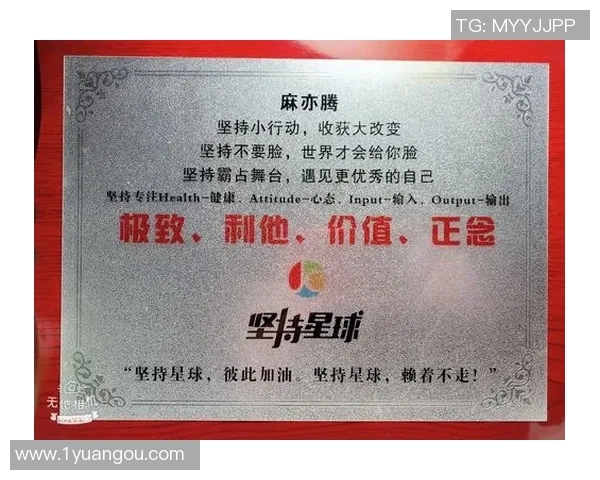 飞盘追梦之路:张静的热爱与坚持深度对话 飞盘追梦之路:张静的热爱与坚持深度对话