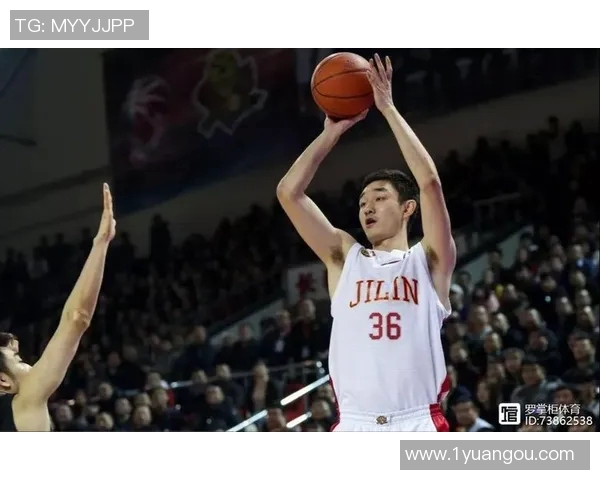 代怀博的成长之路与未来发展展望：探索新机遇与挑战的交汇点